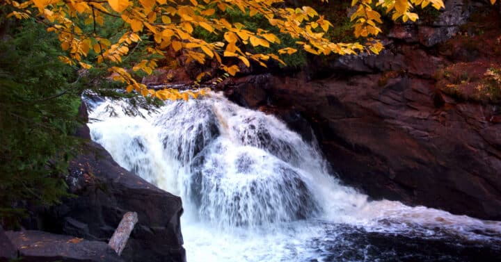 Waterfall cascades over dark rocks surrounded by green foliage and yellow autumn leaves, creating a vibrant natural scene.