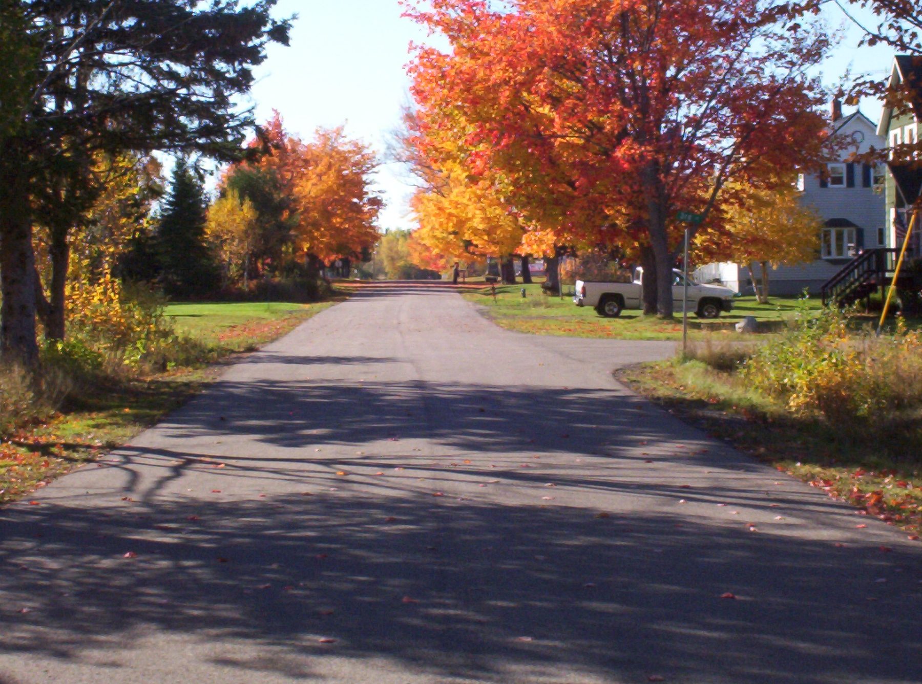 A village street lined with sugar maples in full orange fall color