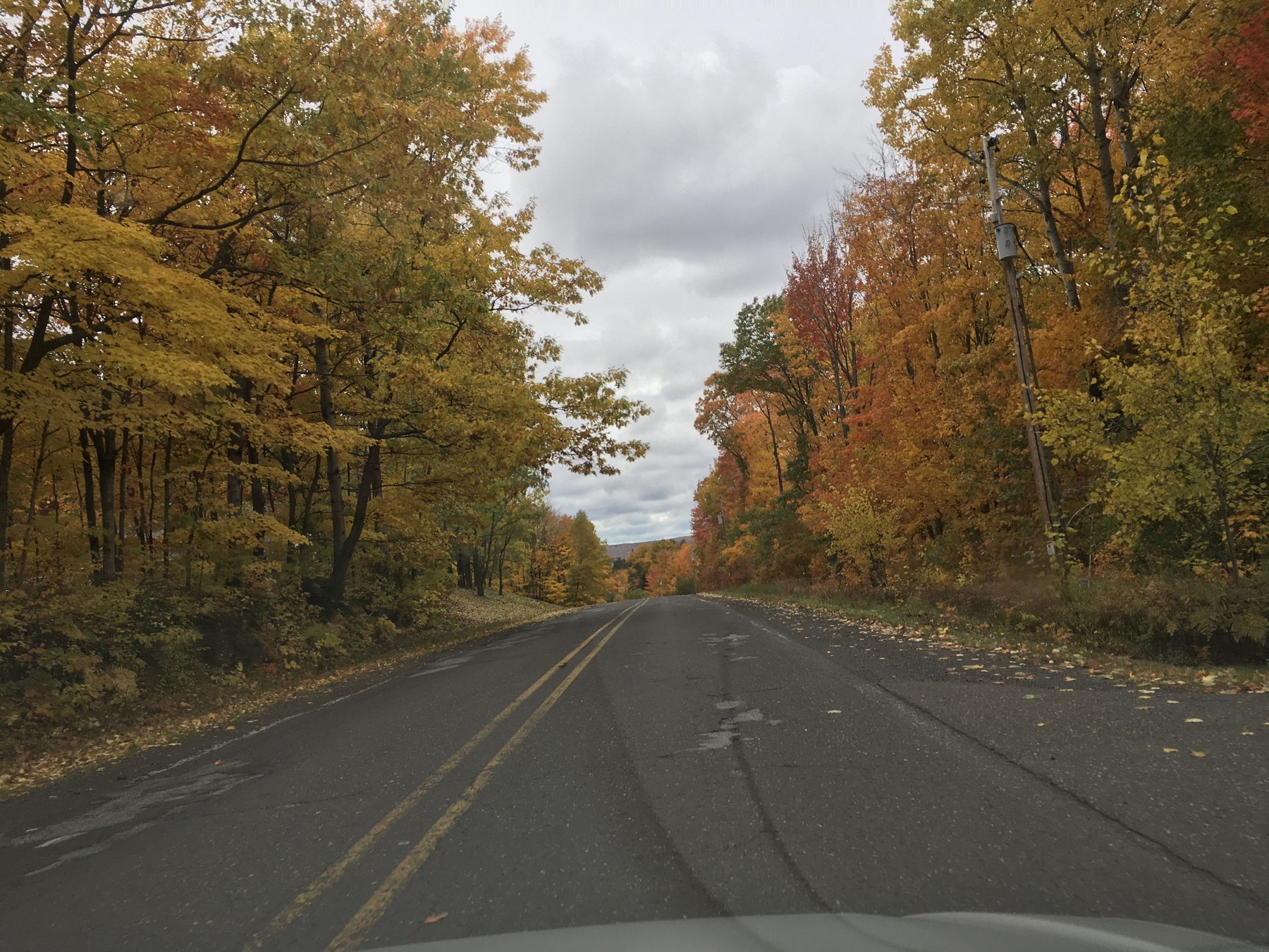 A Keweenaw highway running under overhanging fall color