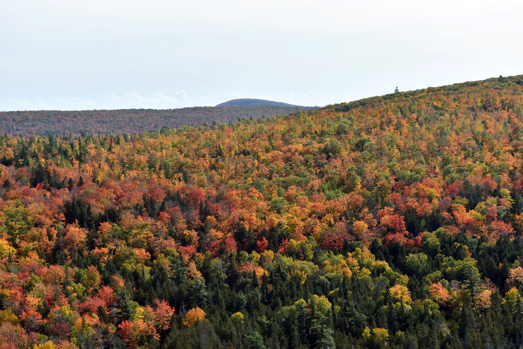 Orange and red forest canopy across the Keweenaw Peninsula