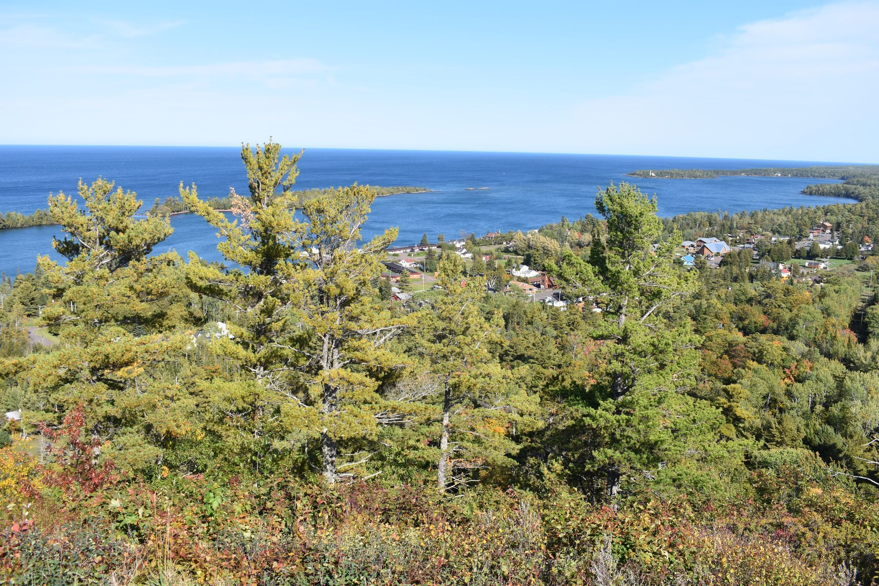 Lake Superior's blue water framed by pines during Keweenaw fall color