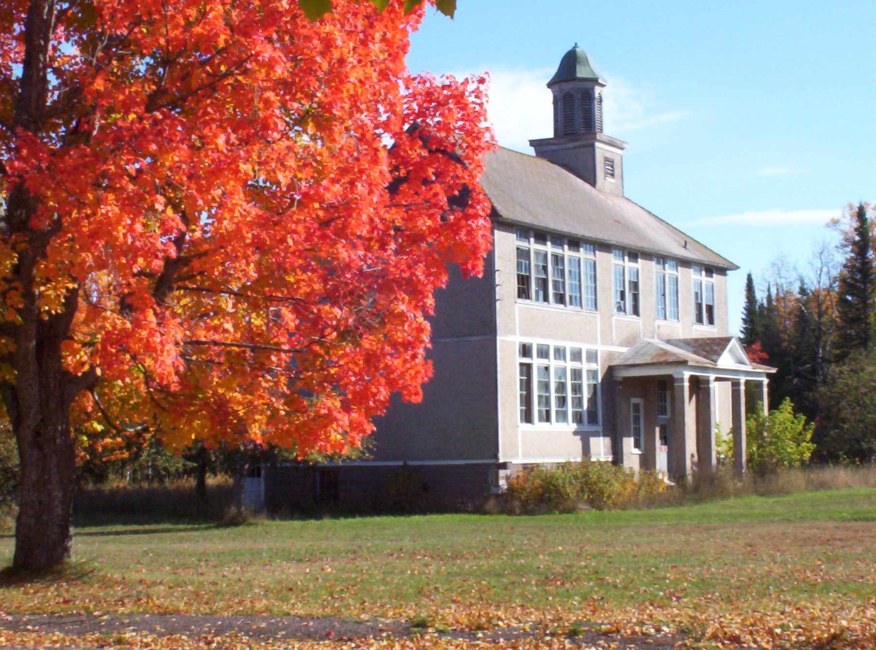 A red maple in full fall color beside a white building in Gay, Michigan