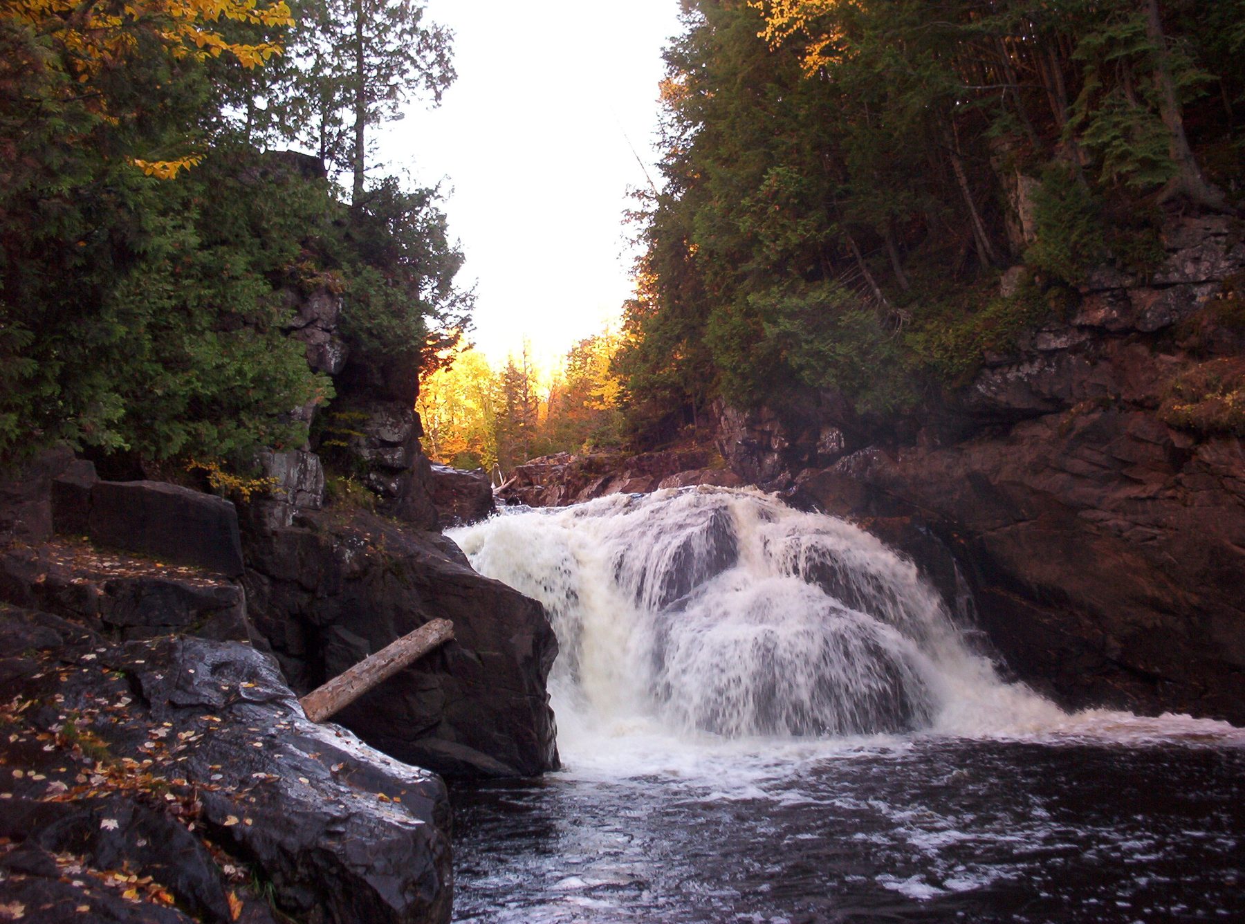 Sturgeon River Gorge falls beneath a gold autumn canopy