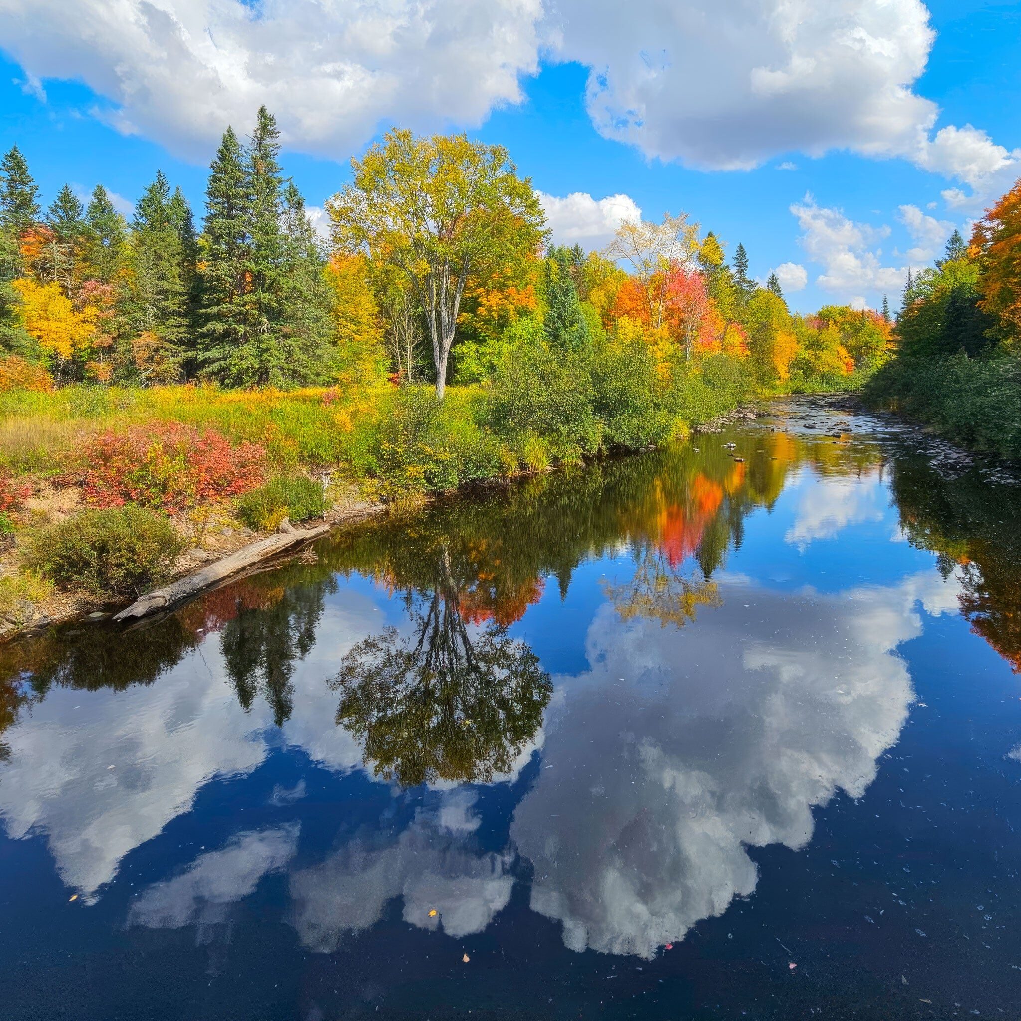 A calm upper peninsula river reflects white clouds, colorful autumn trees, and a bright blue sky. Lush greenery and vibrant fall foliage line the riverbank under sunny weather.